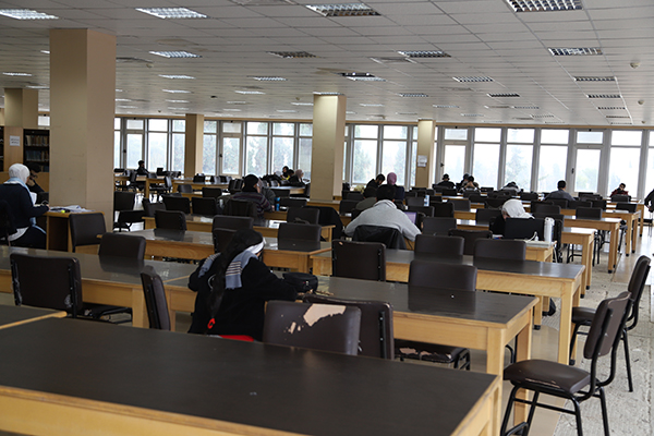 قاعة ناصر الدين الأسد